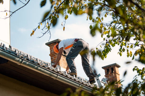 Best Roof Waterproofing Services  in Monahans, TX